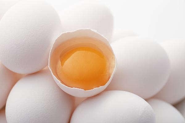 egg 15529