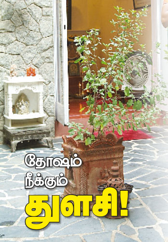 Image result for ஆடி துளசி பூஜை